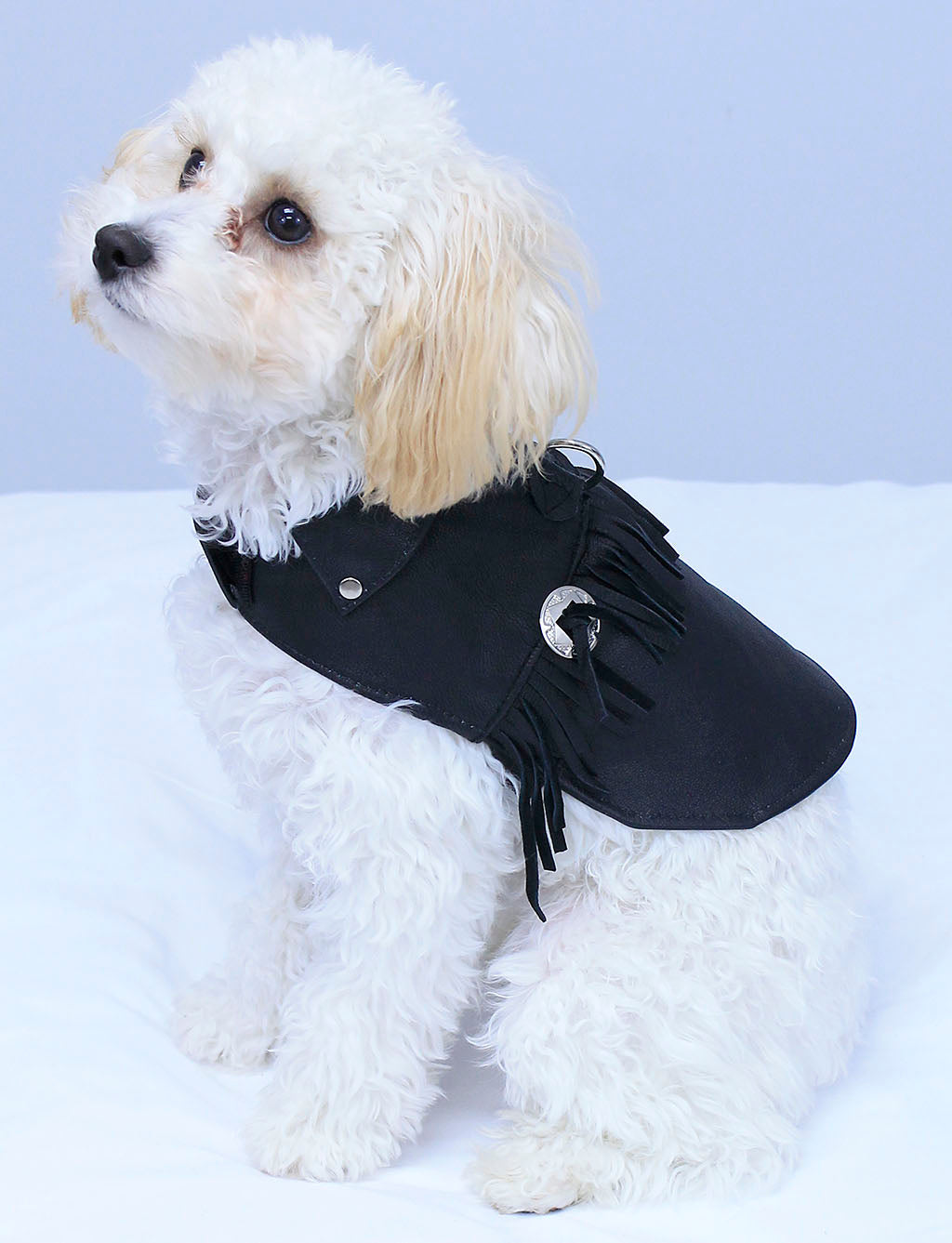 Doggie Fringed Genuine Leather Coat - Handmade in USA #DC2402FCK