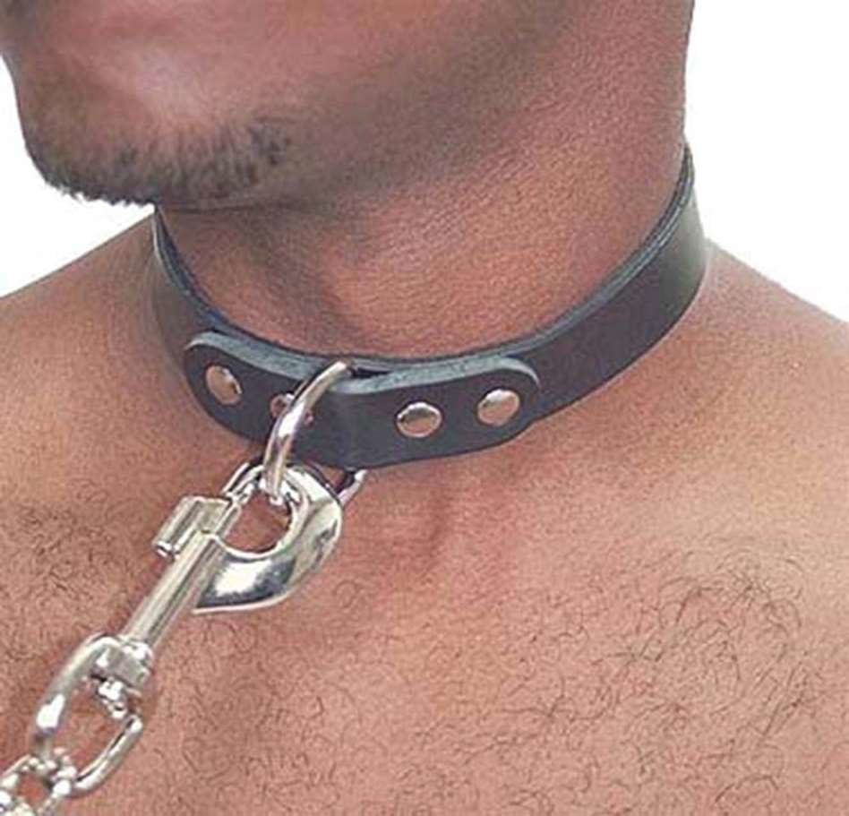 Leather Choker Collar with D Ring #D501BC